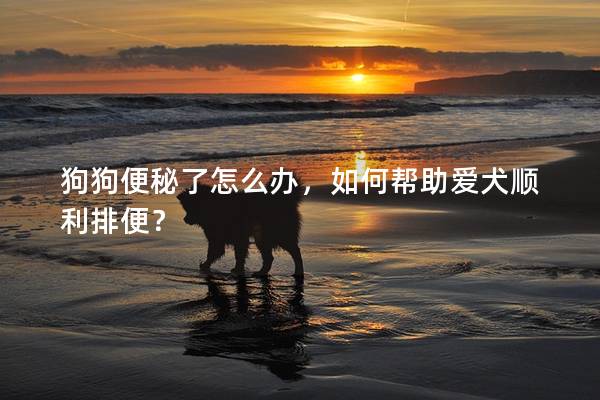 狗狗便秘了怎么辦，如何幫助愛犬順利排便？