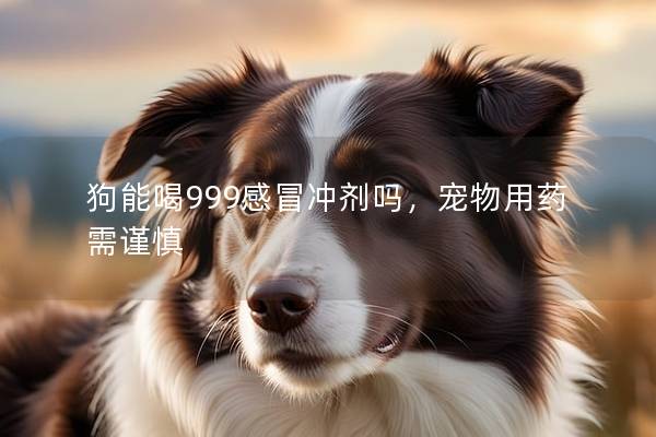 狗能喝999感冒沖劑嗎，寵物用藥需謹(jǐn)慎