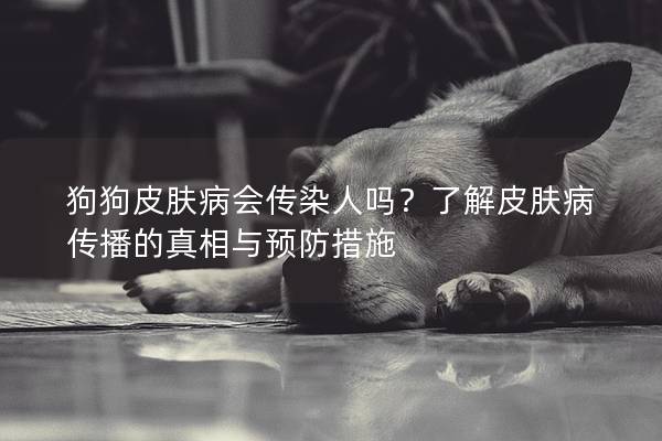 狗狗皮膚病會傳染人嗎？了解皮膚病傳播的真相與預防措施