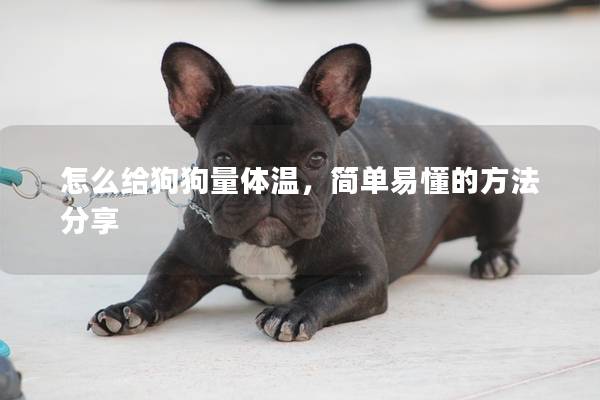 怎么給狗狗量體溫，簡單易懂的方法分享