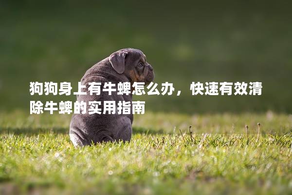 狗狗身上有牛蜱怎么辦，快速有效清除牛蜱的實用指南