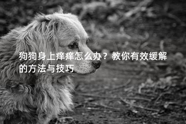 狗狗身上癢癢怎么辦？教你有效緩解的方法與技巧