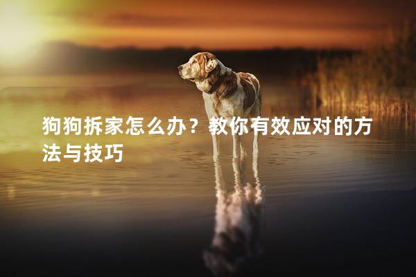狗狗拆家怎么辦？教你有效應(yīng)對(duì)的方法與技巧