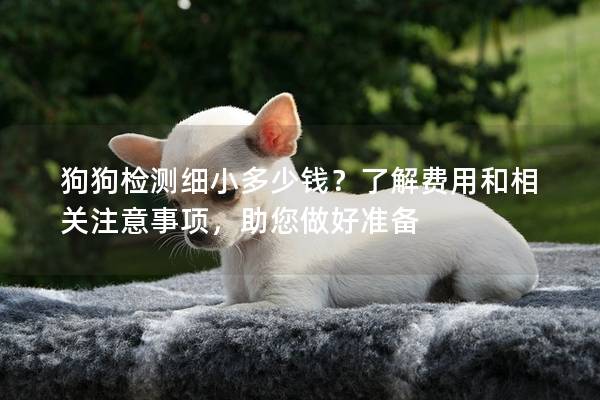 狗狗檢測細小多少錢？了解費用和相關(guān)注意事項，助您做好準(zhǔn)備