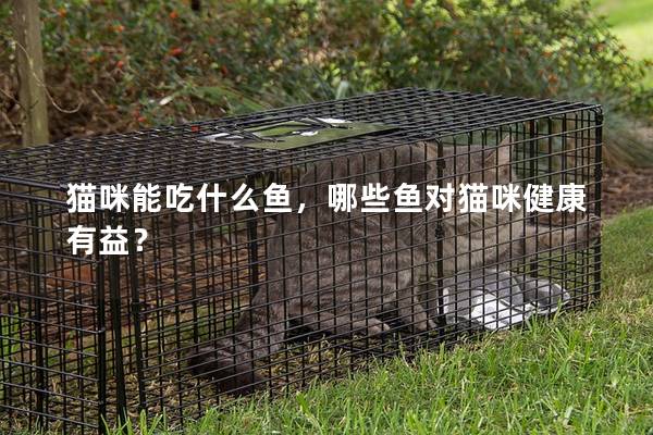 貓咪能吃什么魚，哪些魚對貓咪健康有益？