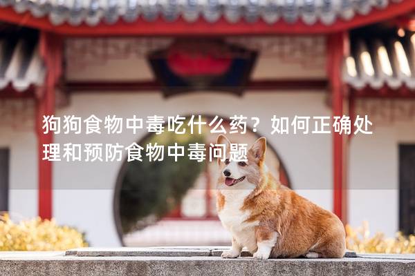 狗狗食物中毒吃什么藥？如何正確處理和預防食物中毒問題