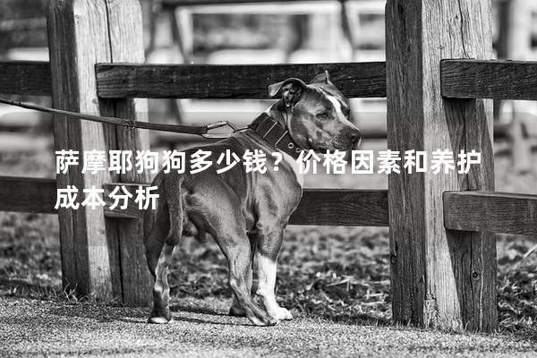 薩摩耶狗狗多少錢？價格因素和養(yǎng)護成本分析