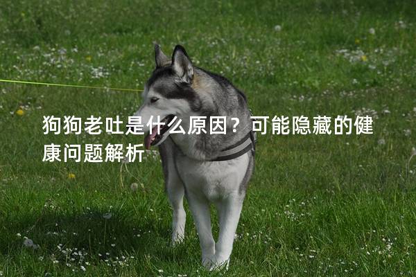 狗狗老吐是什么原因？可能隱藏的健康問題解析