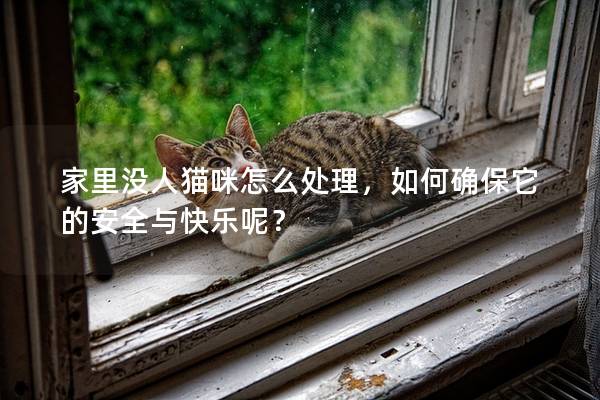 家里沒人貓咪怎么處理，如何確保它的安全與快樂呢？