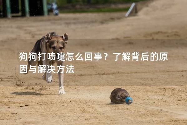 狗狗打噴嚏怎么回事？了解背后的原因與解決方法