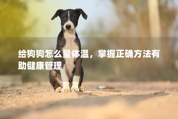 給狗狗怎么量體溫，掌握正確方法有助健康管理