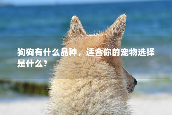 狗狗有什么品種，適合你的寵物選擇是什么？