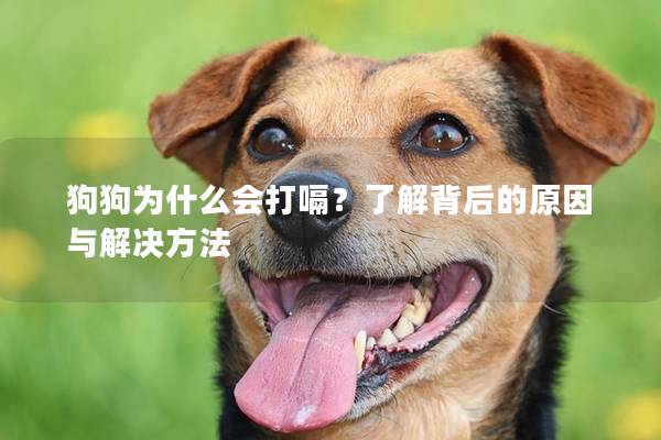 狗狗為什么會打嗝？了解背后的原因與解決方法