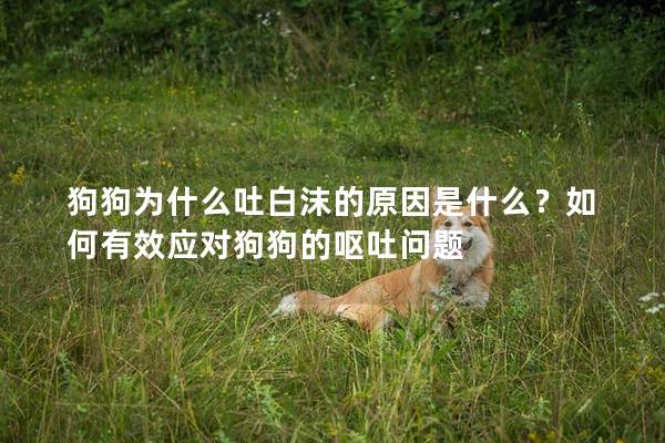 狗狗為什么吐白沫的原因是什么？如何有效應(yīng)對狗狗的嘔吐問題