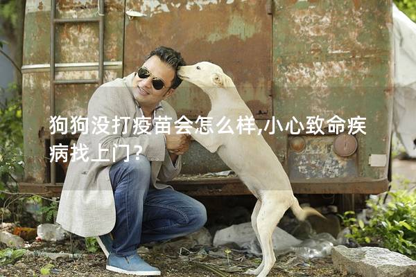 狗狗沒打疫苗會怎么樣,小心致命疾病找上門？
