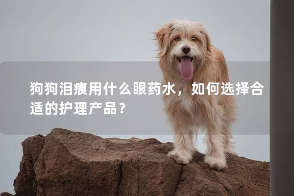 狗狗淚痕用什么眼藥水，如何選擇合適的護理產品？
