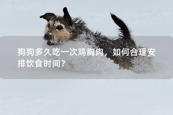 狗狗多久吃一次雞胸肉,如何合理安排飲食時間? 狗狗多久吃一次雞胸肉,如何合理安排飲食時間?