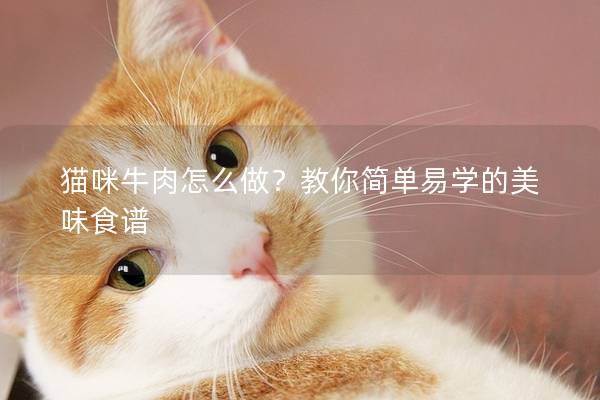 貓咪牛肉怎么做？教你簡(jiǎn)單易學(xué)的美味食譜