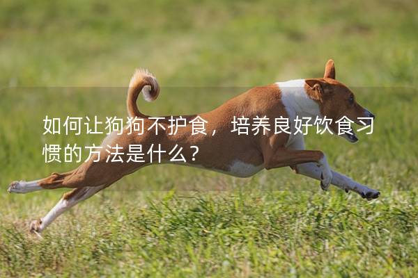如何讓狗狗不護(hù)食，培養(yǎng)良好飲食習(xí)慣的方法是什么？