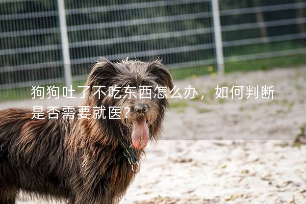 狗狗吐了不吃東西怎么辦，如何判斷是否需要就醫(yī)？