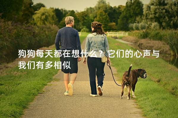 狗狗每天都在想什么？它們的心聲與我們有多相似