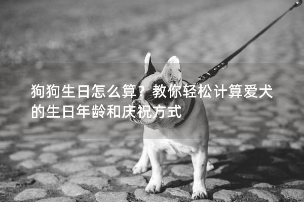 狗狗生日怎么算？教你輕松計算愛犬的生日年齡和慶祝方式