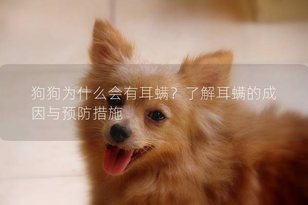 狗狗為什么會有耳螨？了解耳螨的成因與預防措施