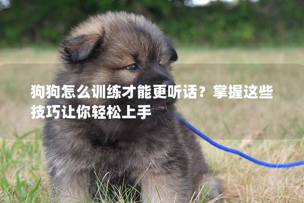 狗狗怎么訓(xùn)練才能更聽話？掌握這些技巧讓你輕松上手