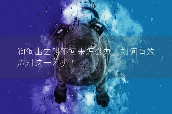 狗狗出去叫不回來怎么辦，如何有效應對這一困擾？