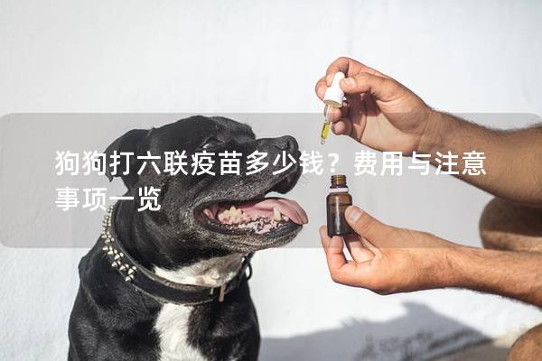狗狗打六聯(lián)疫苗多少錢？費用與注意事項一覽