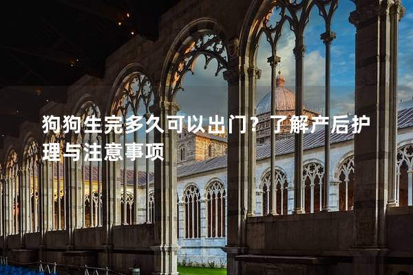 狗狗生完多久可以出門？了解產后護理與注意事項