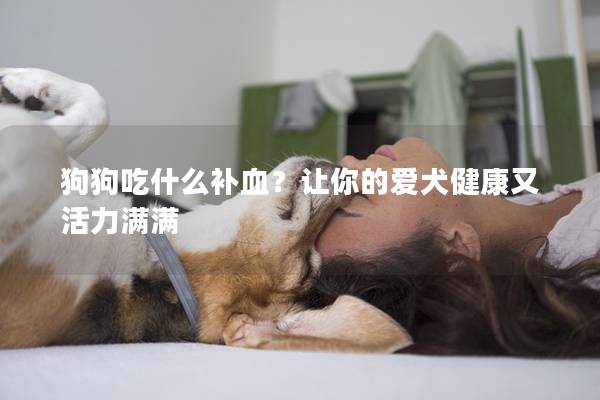 狗狗吃什么補(bǔ)血？讓你的愛犬健康又活力滿滿