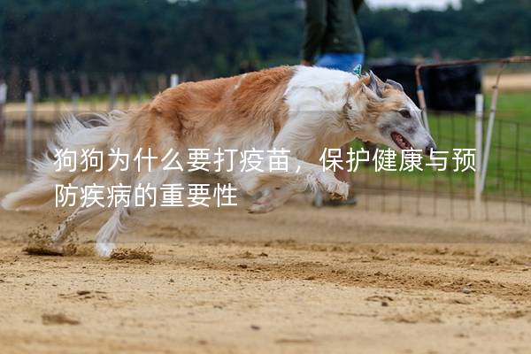 狗狗為什么要打疫苗，保護健康與預防疾病的重要性