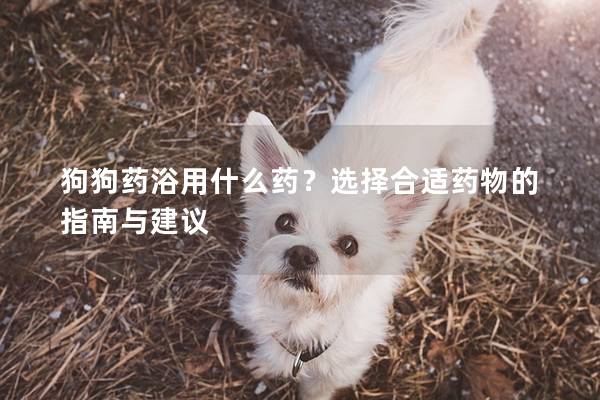 狗狗藥浴用什么藥？選擇合適藥物的指南與建議