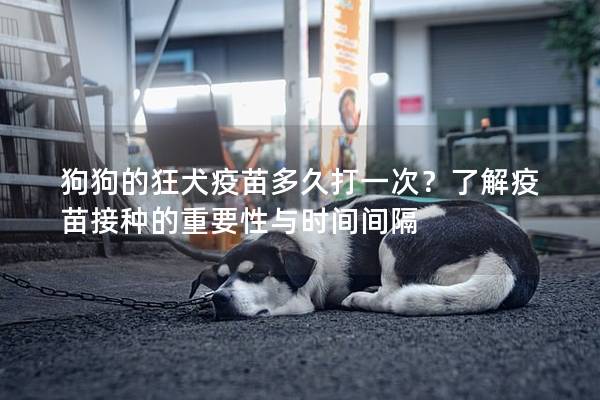 狗狗的狂犬疫苗多久打一次?了解疫苗接種的重要性與時(shí)間間隔 狗狗的狂犬疫苗多久打一次?了解疫苗接種的重要性與時(shí)間間隔