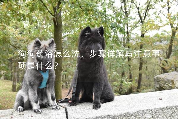 狗狗藥浴怎么洗，步驟詳解與注意事項是什么？