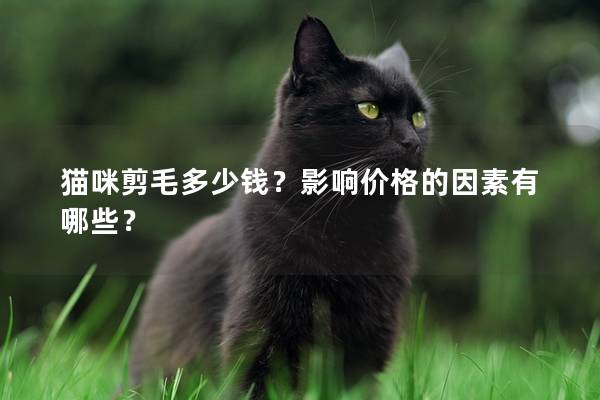 貓咪剪毛多少錢?影響價(jià)格的因素有哪些? 貓咪剪毛多少錢?影響價(jià)格的因素有哪些?