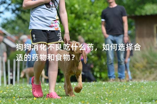 狗狗消化不良吃什么藥,如何選擇合適的藥物和食物? 狗狗消化不良吃什么藥,如何選擇合適的藥物和食物?