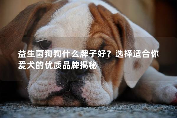 益生菌狗狗什么牌子好？選擇適合你愛犬的優質品牌揭秘
