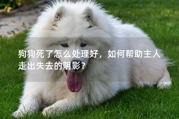 狗狗死了怎么處理好，如何幫助主人走出失去的陰影？
