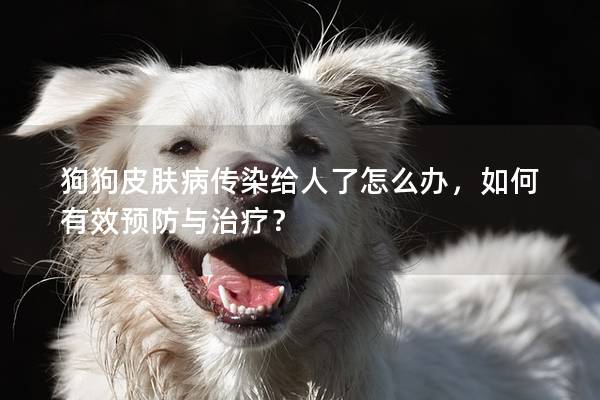 狗狗皮膚病傳染給人了怎么辦，如何有效預防與治療？