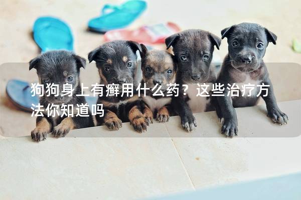 狗狗身上有癬用什么藥？這些治療方法你知道嗎