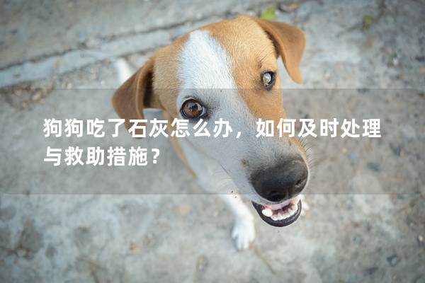 狗狗吃了石灰怎么辦，如何及時處理與救助措施？