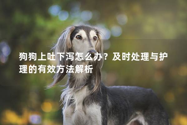 狗狗上吐下瀉怎么辦？及時處理與護理的有效方法解析