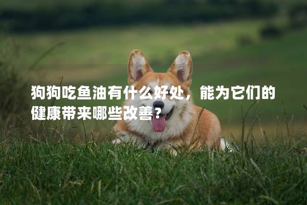 狗狗吃魚油有什么好處,能為它們的健康帶來哪些改善? 狗狗吃魚油有什么好處,能為它們的健康帶來哪些改善?