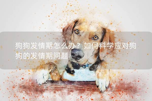 狗狗發情期怎么辦？如何科學應對狗狗的發情期問題