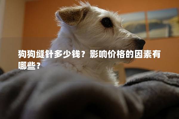 狗狗縫針多少錢？影響價格的因素有哪些？