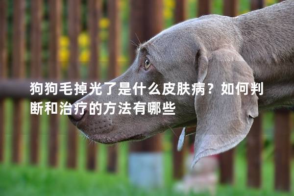 狗狗毛掉光了是什么皮膚病？如何判斷和治療的方法有哪些