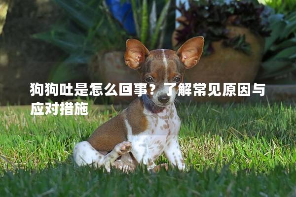 狗狗吐是怎么回事？了解常見(jiàn)原因與應(yīng)對(duì)措施