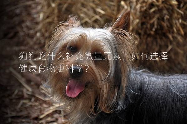 狗狗吃什么補充微量元素,如何選擇健康食物更科學? 狗狗吃什么補充微量元素,如何選擇健康食物更科學?